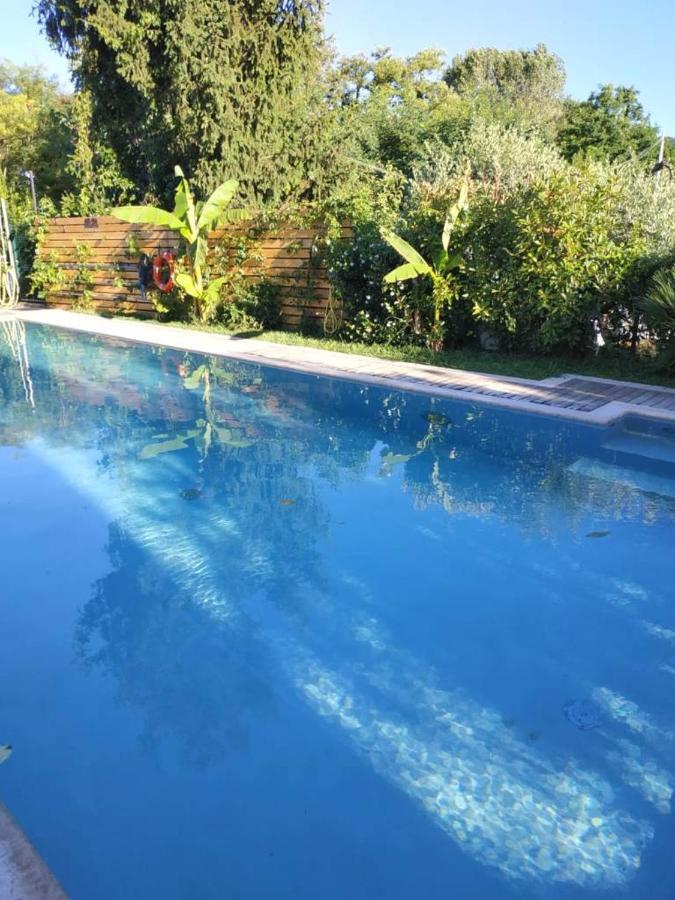 Villa Paradiso Del Garda Vista-Verde Bardolino Bagian luar foto